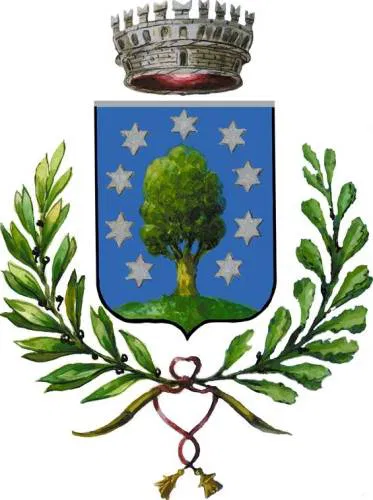 Logo COMUNE DI BORGO TICINO