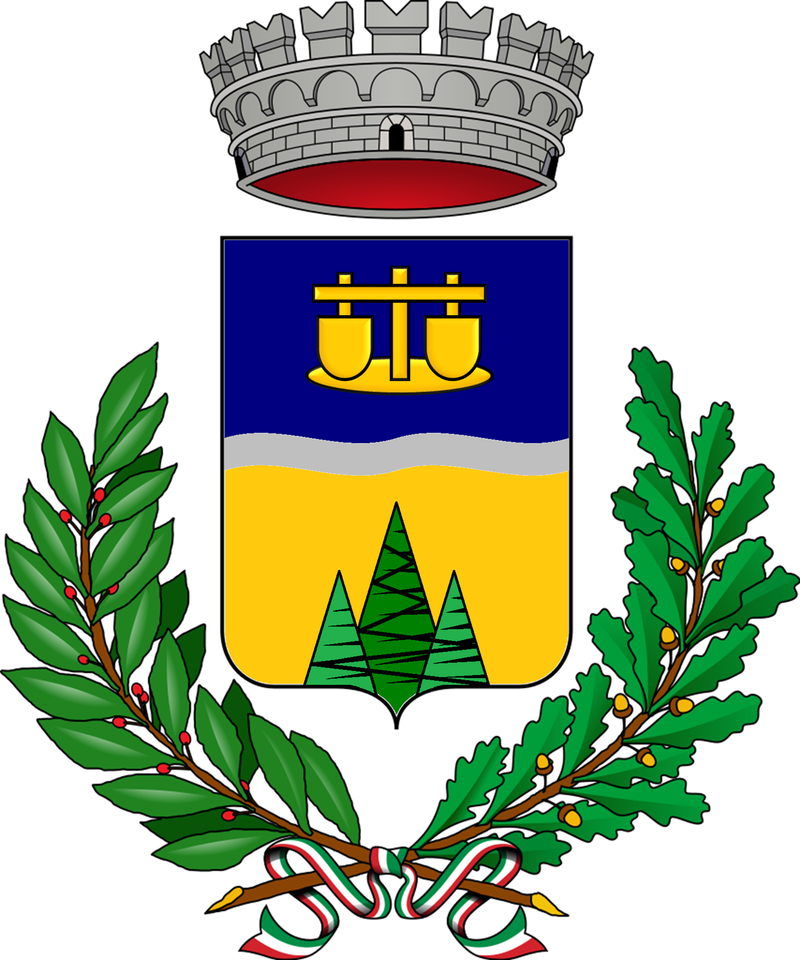 Logo COMUNE DI PIEDIMULERA