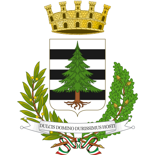 Logo COMUNE DI PINEROLO