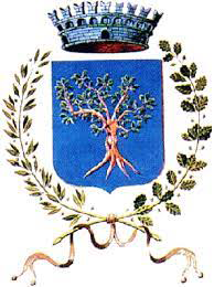 Logo COMUNE DI SAN PIETRO VERNOTICO