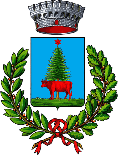 Logo COMUNE DI VILLADOSSOLA